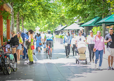 Population doubles in a decade as census reveals Southbank to be a young, multicultural hub
